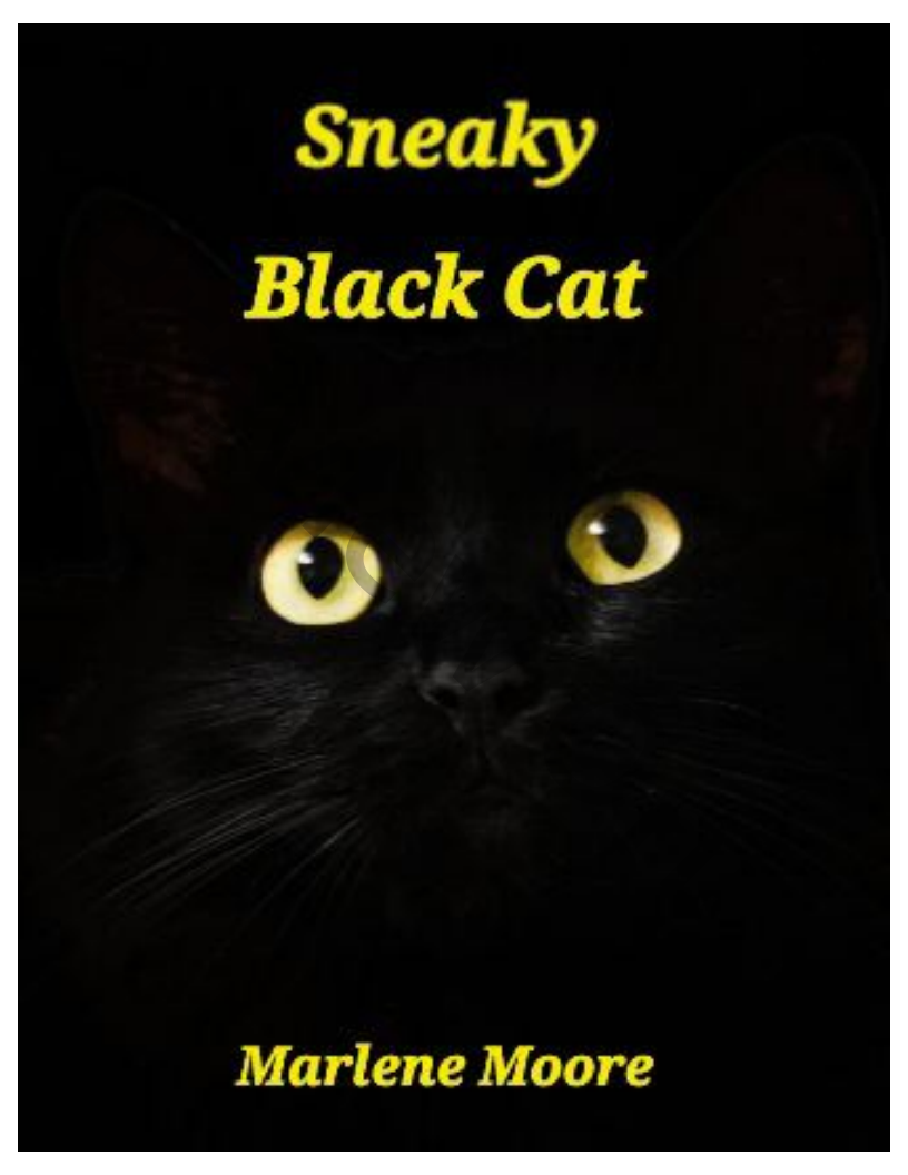 Sneaky Black Cat P.O.D