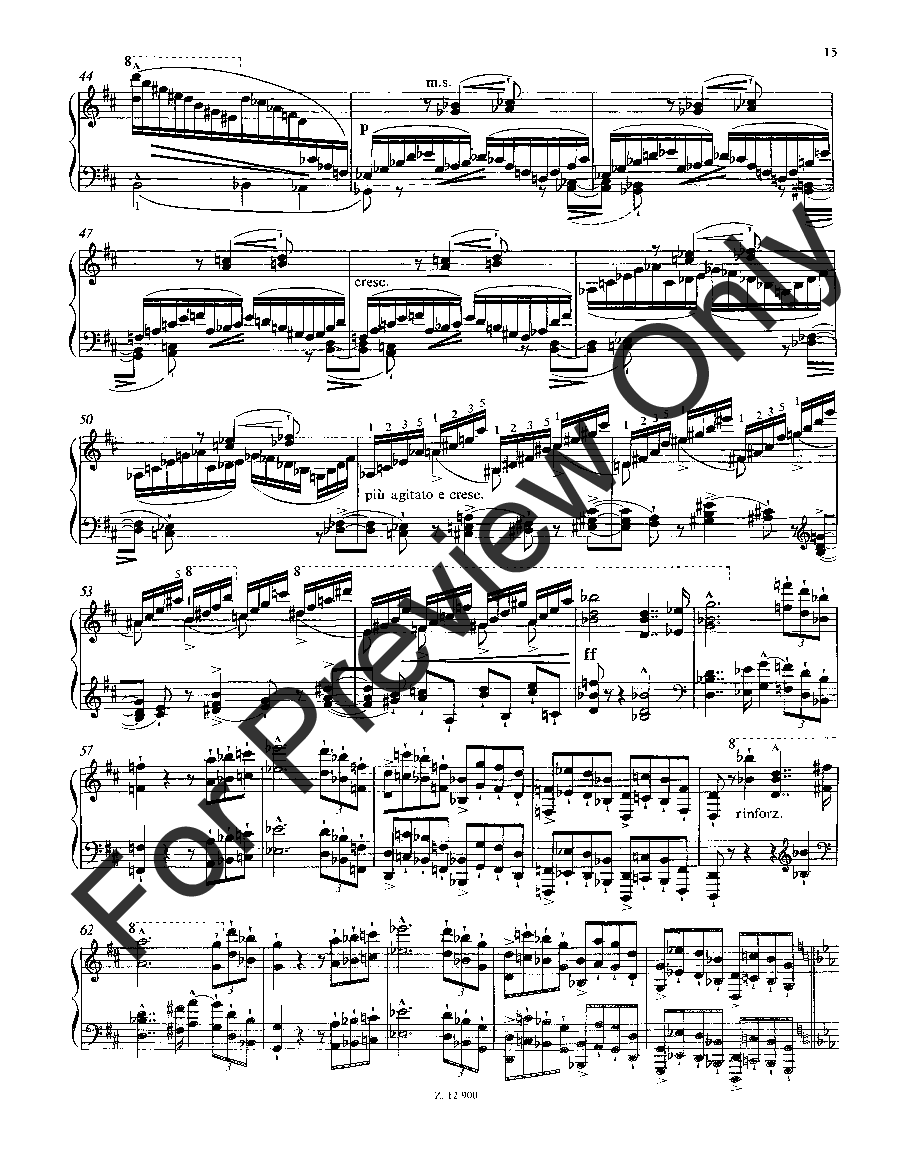 Sonata in B minor Piano Revised Edition