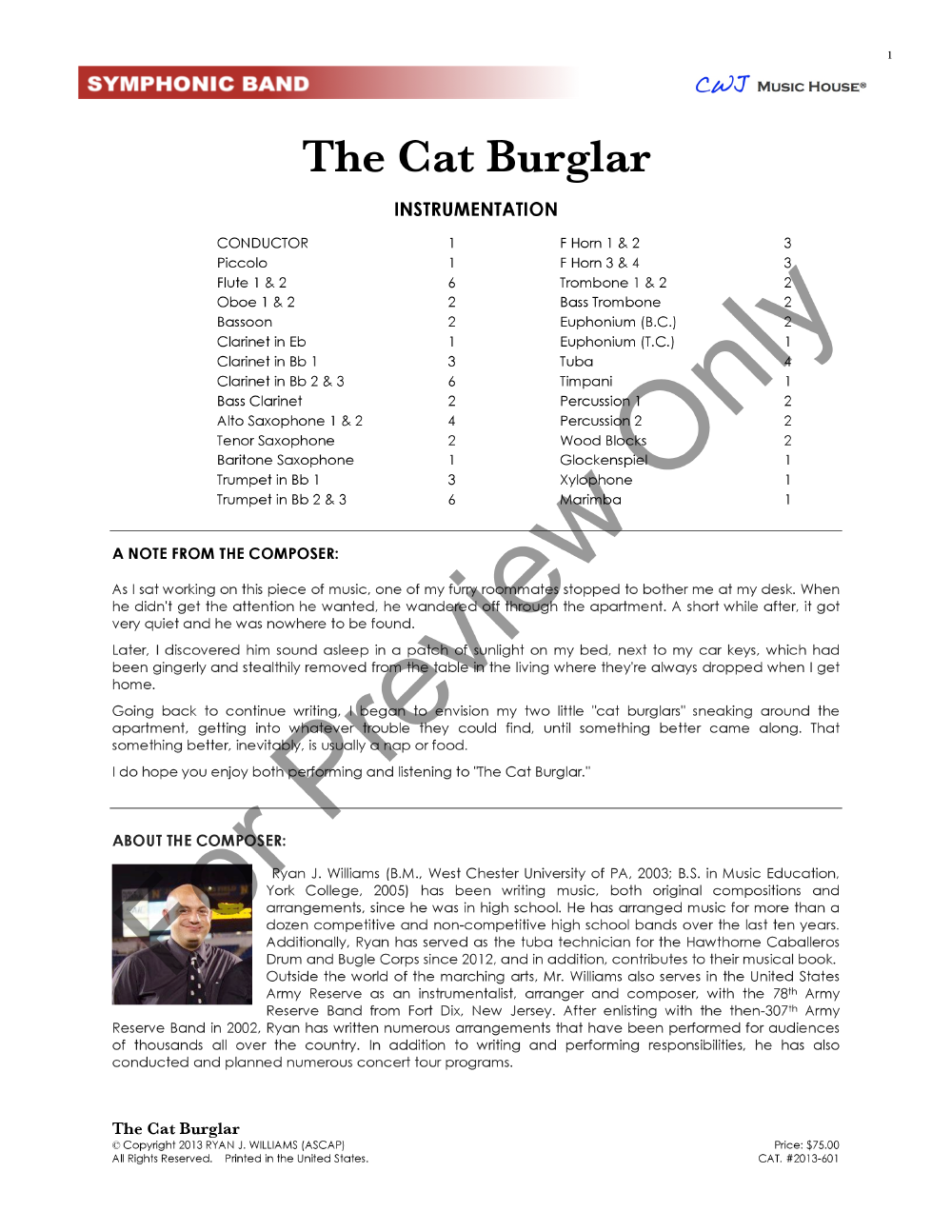 The Cat Burglar P.O.D.