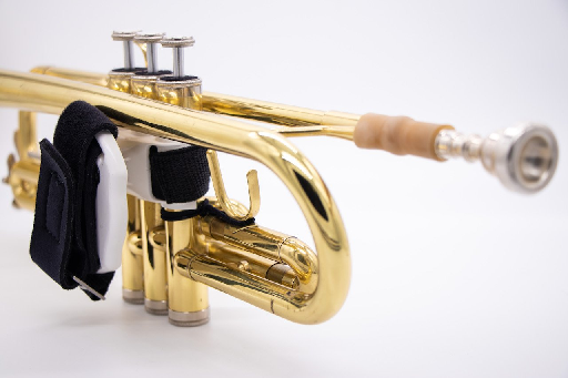 Rota Trumpet Spinner